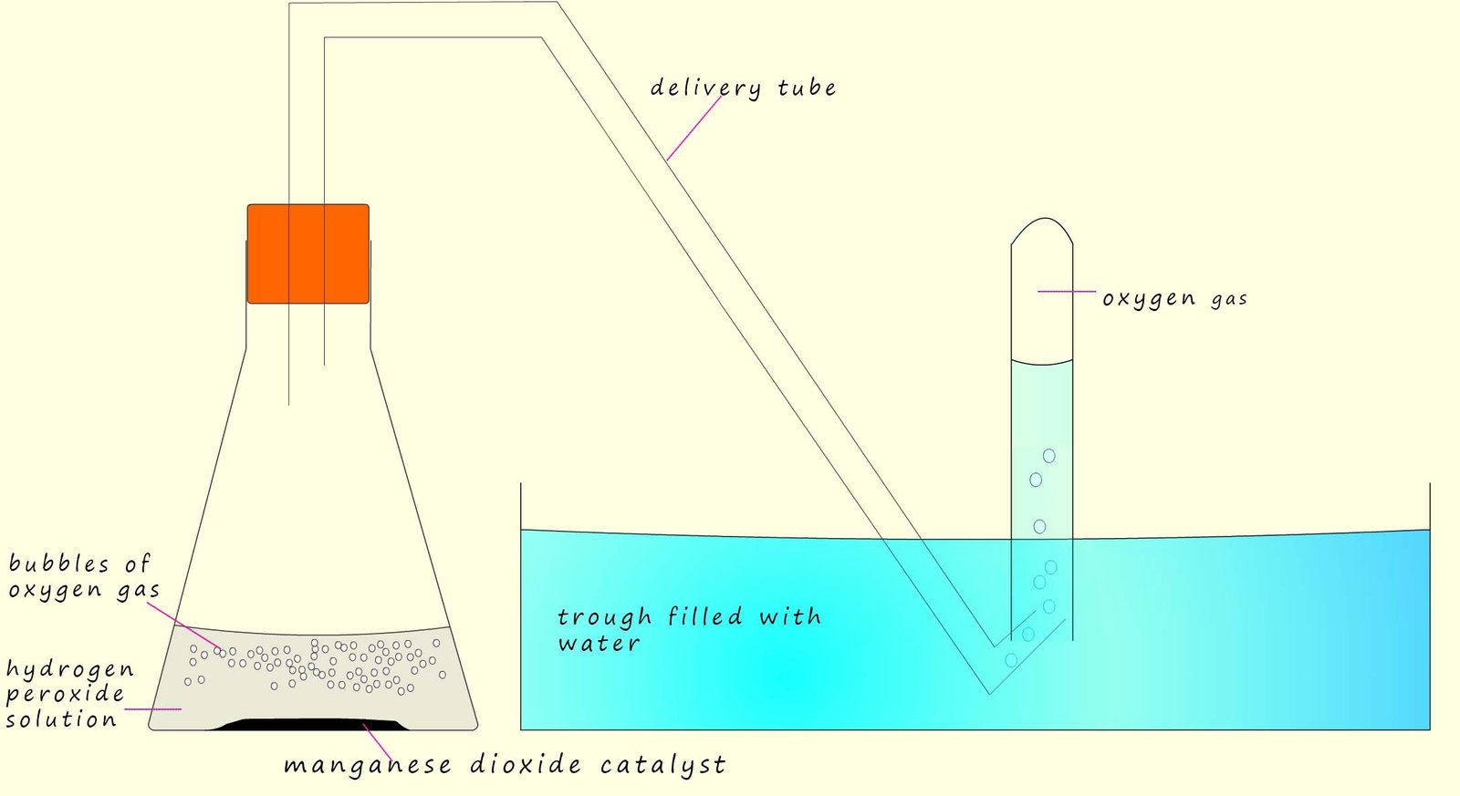 apparatus to show the decomposition of hydrogen peroxide into oxygen gas and water using a manganese dioxide catalyst.  The oxygen gas is collected underwater.